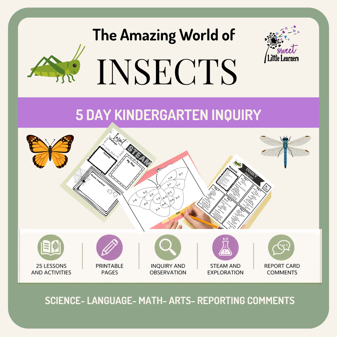 Insect and Bugs Kindergarten/Grade 1 Inquiry- No Prep- Full Learning i ...
