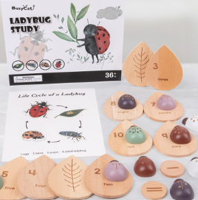 Primary Grades Lady Bug Science Inquiry Set- Life Cycle, Numbers, Counting.  FREE SHIPPING