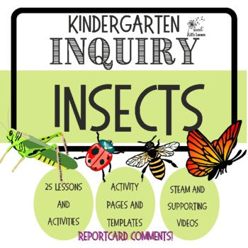 Insect Inquiry Insect and Bugs Kindergarten/Grade 1 Inquiry- No Prep- Full Learning i ...